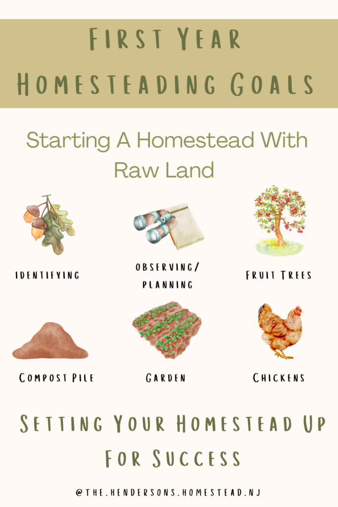 6 things to do your first year homestead