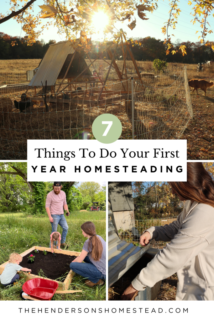 homestead first year things to start on your first year homestead