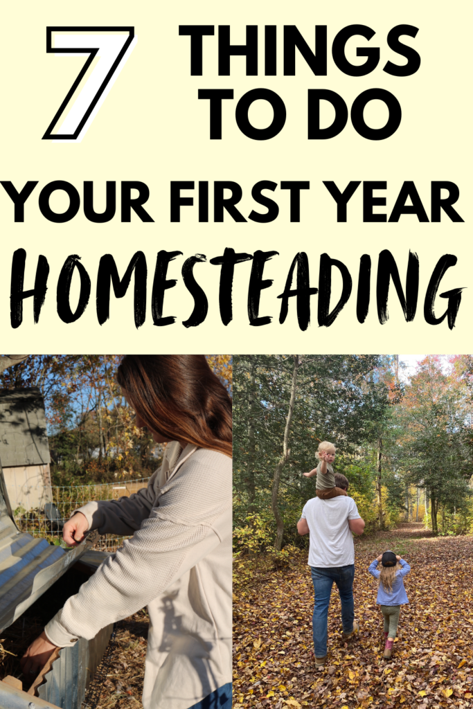 start a homestead things to do your first year homestead