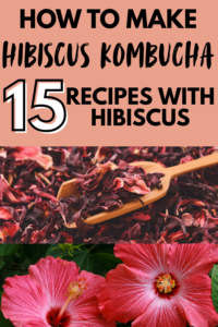 Hibiscus kombucha