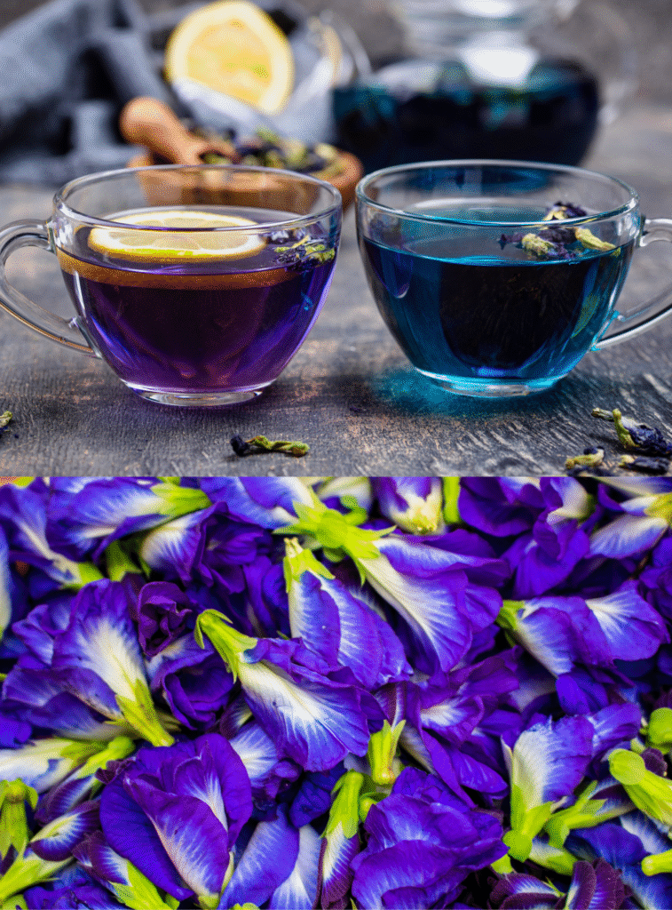 butterfly pea flower color changing tea