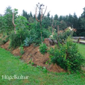 garden growing on a mound of wood