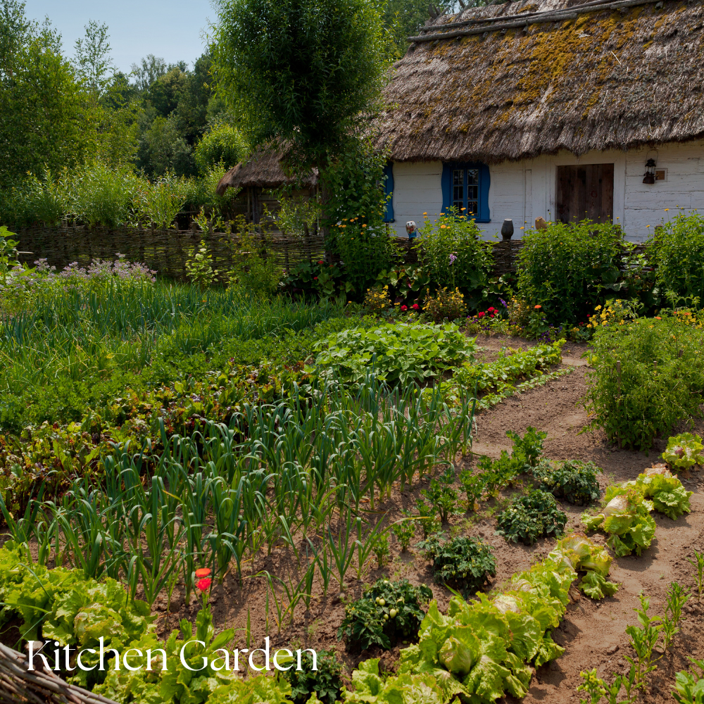 Not Sure How To Start a Garden? 16 Gardening Types