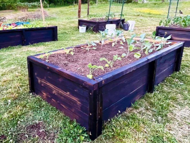 wooden raised bed