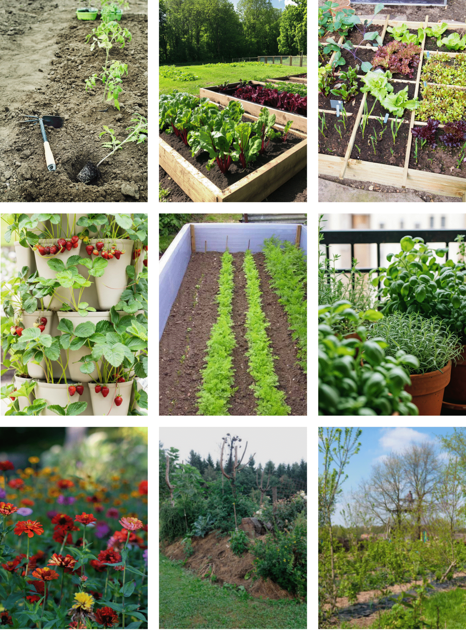 Not Sure How To Start a Garden? 16 Gardening Types