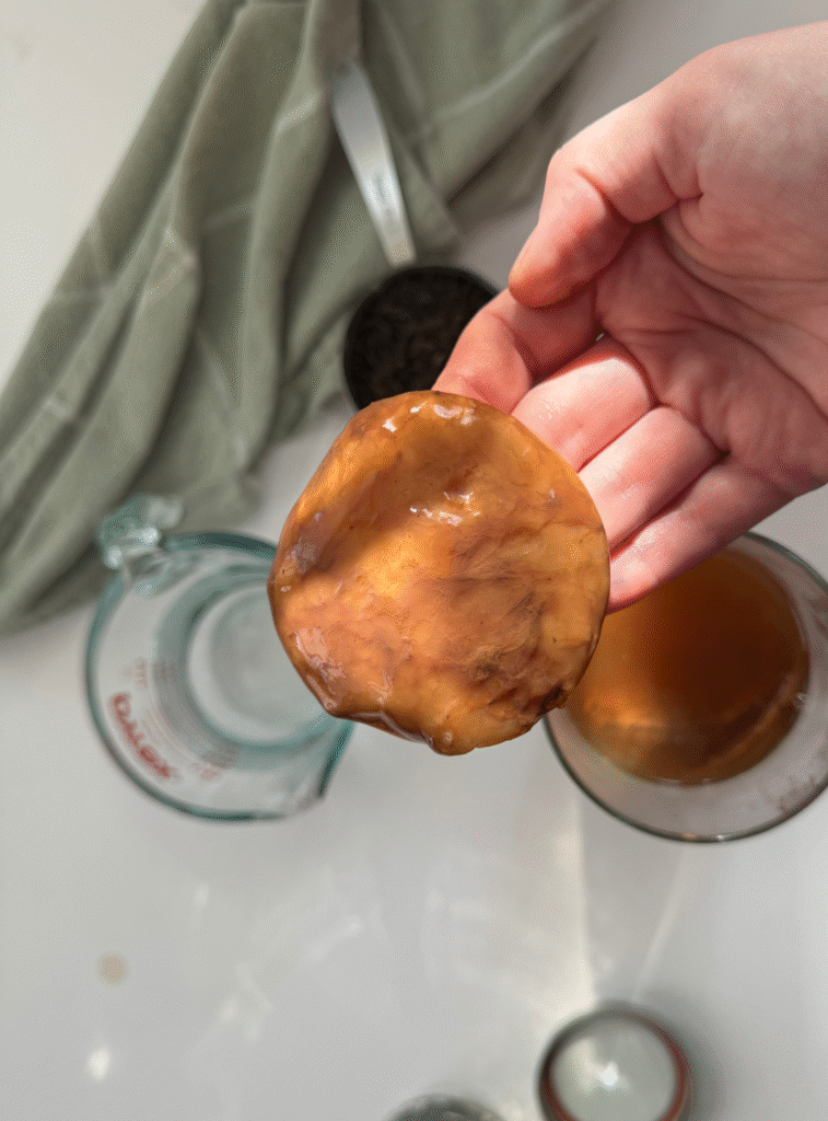 brown probiotic rich kombucha scoby