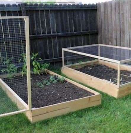 covered raised bed