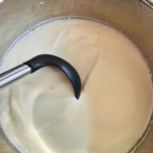 homemade yogurt